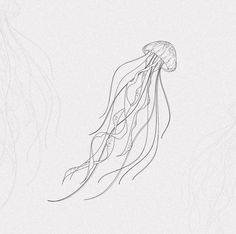 a drawing of a jellyfish in the water