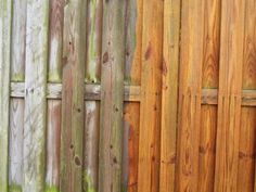 a wooden fence with grass growing on the side and behind it is a green plant