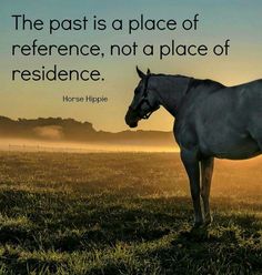 a horse standing in the middle of a field with a quote on it that says, the past is a place of reference, not a place of residence