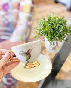 a person holding a coffee cup with a hummingbird on it and a plant in the background