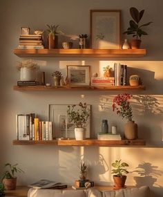 three wooden shelves filled with plants and books on top of a white couch in a living room