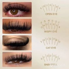 Eye Map, Lash Tricks, Eyelash Tips