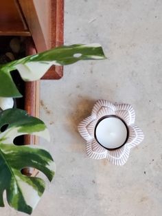 a white candle sitting on top of a table next to a green leafy plant