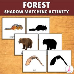 the shadow matching activity for forest animals