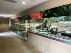 an empty room with many different types of fish in it and some plants on the wall