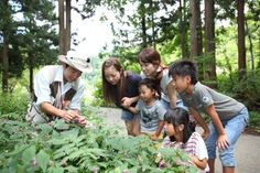 a group of people are looking at plants in the woods with one woman pointing to them