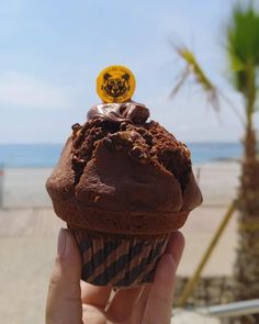 a person holding up a chocolate cupcake on the beach