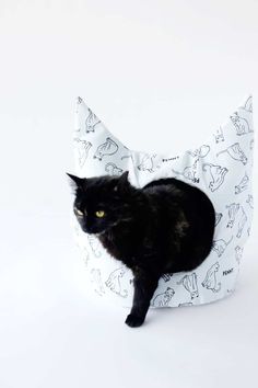 a black cat sitting on top of a pillow