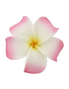 Large Hawaiian Plumeria White Pink Flower Hair Clip Flower Pic, Flowers White Background, Hawaiian Flower, Sticker Inspo, Flower Stickers, Hibiscus White Background, Pink Plumeria, Plumeria Clip, Hawaii Flower Clip