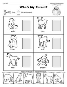 a worksheet with pictures of animals and their names