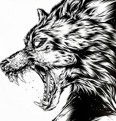 a black and white drawing of a snarling wolf