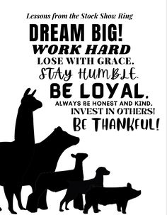 4h Quotes, Sheep Showing, Ag Quotes, Sheep Quote, Ag Quote, Club Calf, Livestock Auction