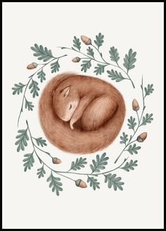 a drawing of a sleeping animal surrounded by leaves and acorns