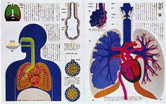 an illustration of the human body and lungs in chinese text, with other medical symbols