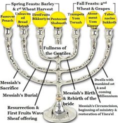 an image of a menorah labeled with all the main parts in english and hebrew