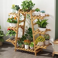 a wooden plant stand filled with potted plants