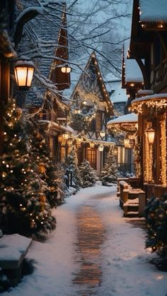 a snowy street lined with lit up christmas trees