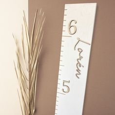 a tall ruler with the number sixty seven on it next to a plant