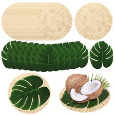 various types of palm leaves and coconuts on a white background with clippings