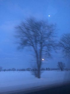 the sky is blue and there are trees in the snow on the side of the road