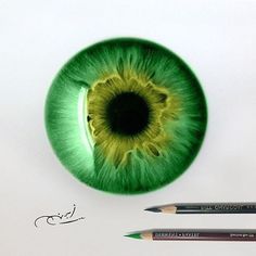 a pencil drawing of an eye with green and yellow iris