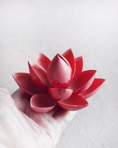 a red flower sitting on top of a white surface next to a person's hand