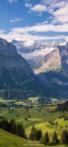 the mountains are covered in snow and green grass, with trees on each side as far as the eye can see