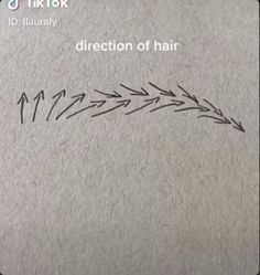 an image of the direction of hair drawn on a piece of paper with text above it