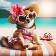 a small dog wearing sunglasses and a hat sitting on a beach towel next to sandals