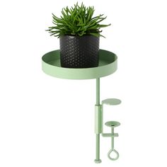 a potted plant sitting on top of a green shelf next to a pair of scissors