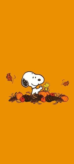 a charlie brown thanksgiving wallpaper with pumpkins, leaves and a dog holding a star