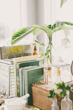 a table topped with lots of books and plants