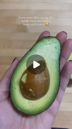 an avocado is being held in someone's hand with the words, if you