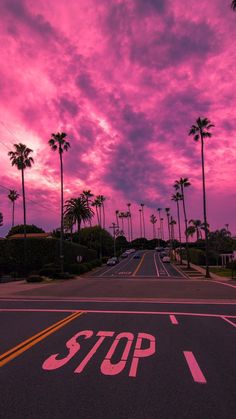 a stop sign painted on the road with palm trees in the background at sunset or dawn