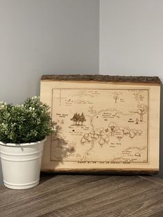 a potted plant sitting on top of a wooden table next to a framed map