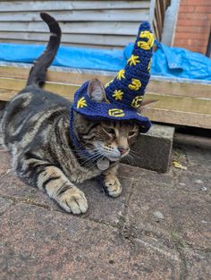 a cat wearing a knitted wizard hat laying on the ground