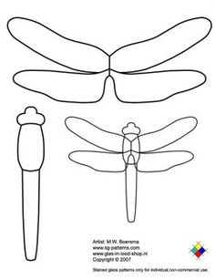 an image of dragonflies with wings and legs