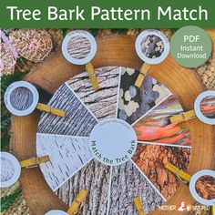 the tree bark pattern match is shown in this book