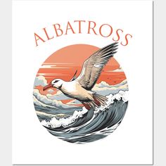 a bird flying over an ocean with the words albatroos on it's back