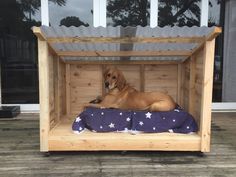 a brown dog laying on top of a bed in a wooden structure with purple and white bedspread