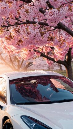 Descubra a essência do desempenho e do luxo com supercarros projetados para impressionar em qualquer cenário. Do brilho do pôr do sol nas montanhas à energia de ruas urbanas iluminadas por neon, cada carro encapsula uma experiência única de velocidade, design futurista e elegância inigualável. Prepare-se para explorar imagens que elevam o realismo ao limite. Coming Soon