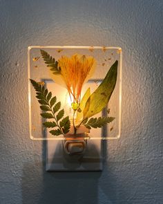 a light that is on the wall with some plants in it's glass frame