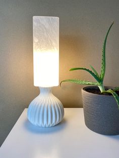 a white table lamp sitting next to a potted plant on top of a counter