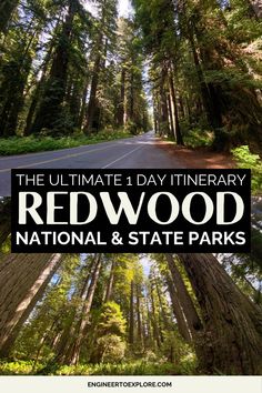 redwood trees and the road with text overlay that reads, the ultimate 3 day itinerary redwood national & state parks