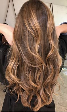 Hair Colours For Neutral Skin Tones, Brown Hair Gold Highlights, Level 6 Hair Color With Highlights, Warm Balayage Brunettes, Balayage Caramel, Long Hair Highlights, Chestnut Hair Color, Hair Color Streaks