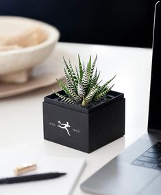 a laptop computer sitting on top of a white table next to a potted plant