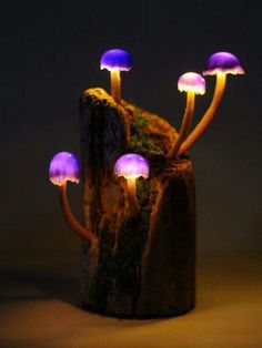 small mushrooms growing out of a log with purple lights on it's sides and green moss in between them