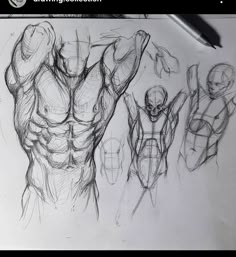 a drawing of some muscles on a piece of paper