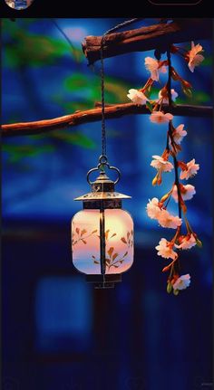 a lantern hanging from a tree branch with flowers