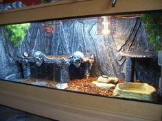 a fish tank filled with lots of different types of animals in it's habitat